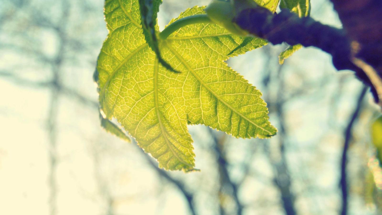 Community Infrastructure Priorities: Practical Weekly Brief