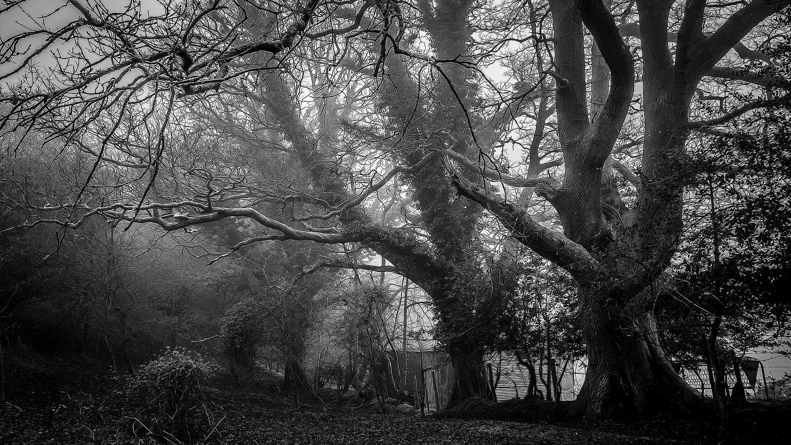 Platform Risk and Vendor Diversity: Practical Weekly Brief