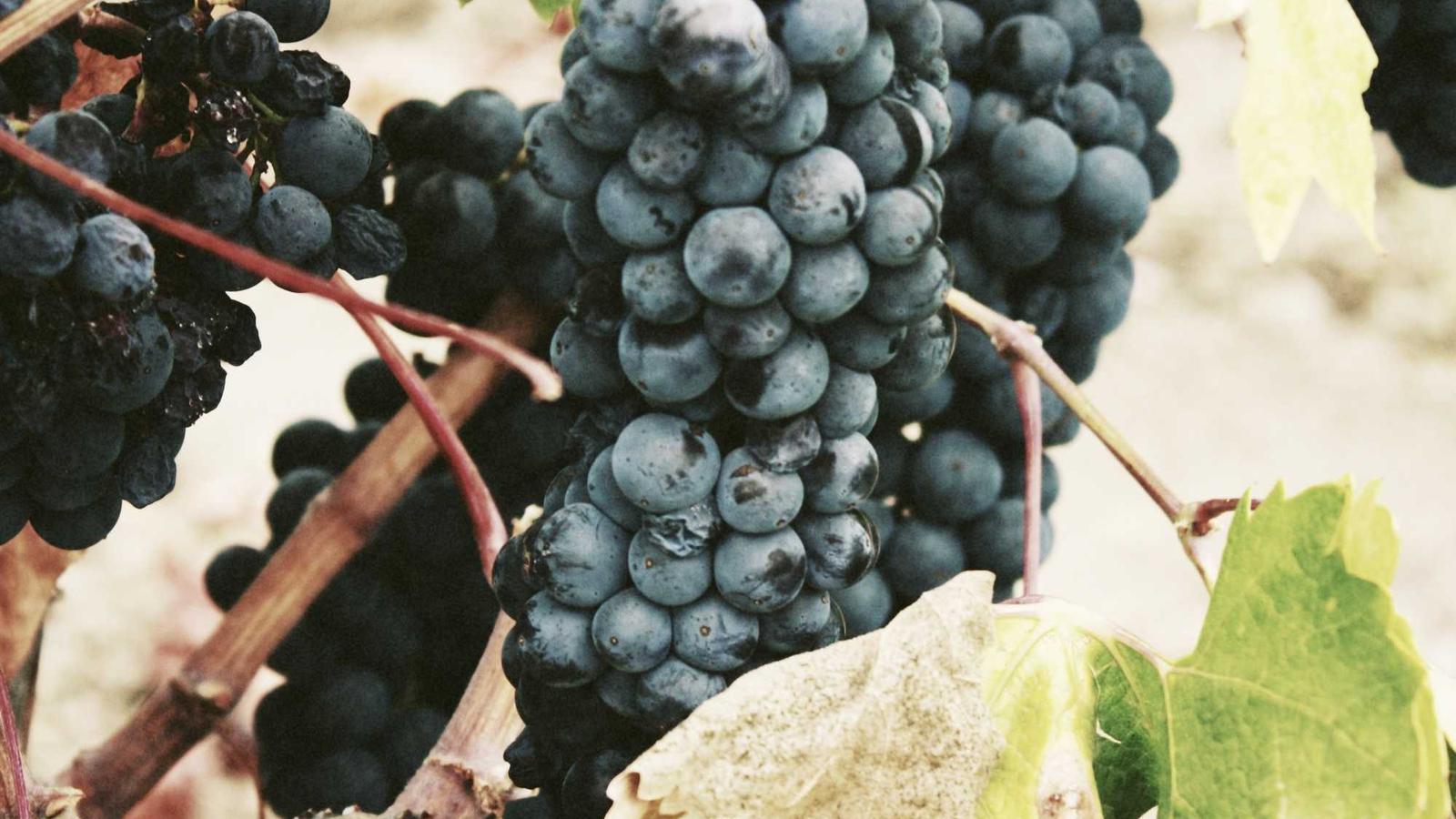 Public Service Reliability: Practical Weekly Brief