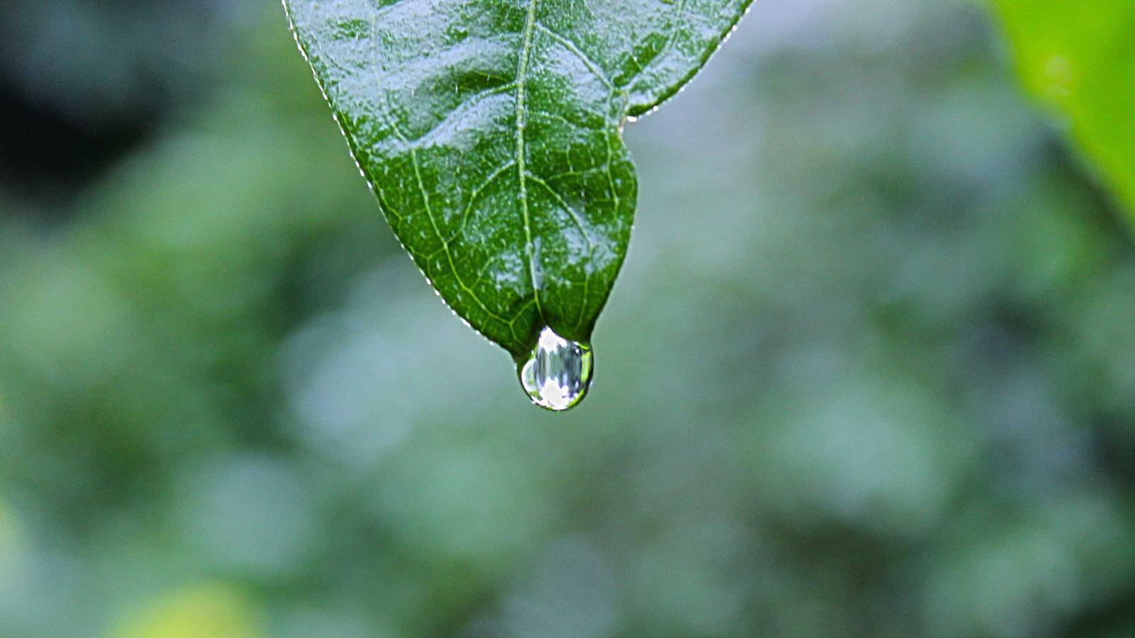 Cloud Cost Optimization for Teams: Practical Weekly Brief