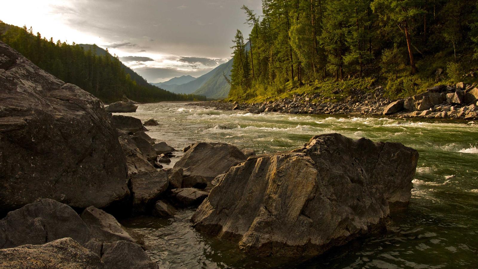 Work-Life Habits and Stress Recovery: Practical Weekly Brief