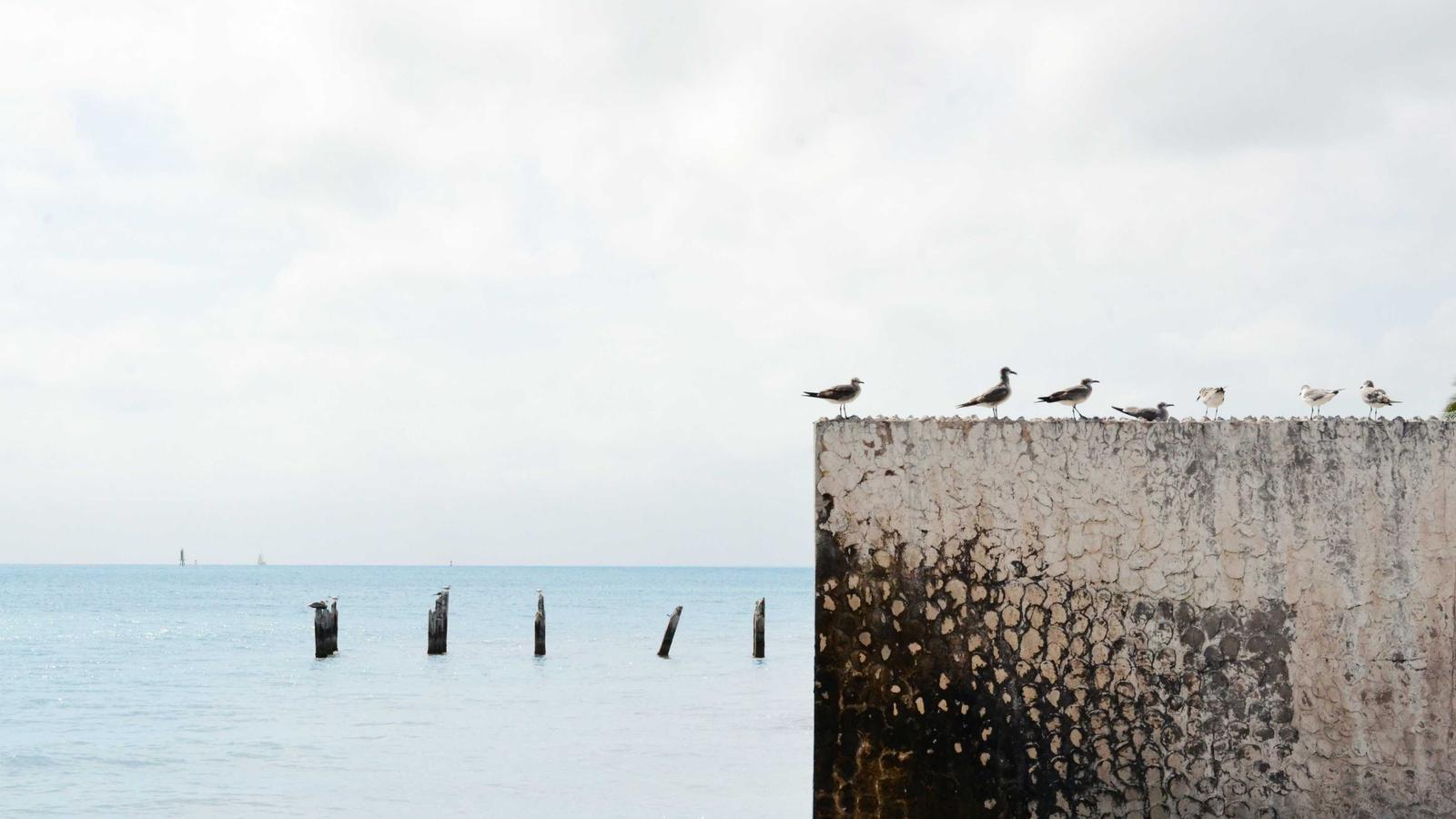 Tourism Demand and Small Businesses: Practical Weekly Brief